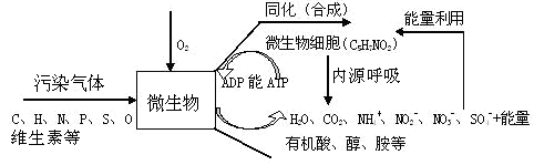 微生物除臭系统